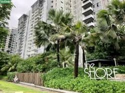 The Shore Residences (D15), Condominium #496143811